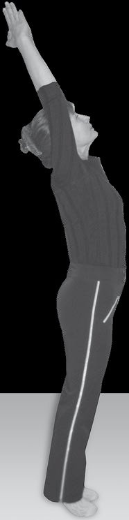 Иллюстрация к книге — Йога для офисных работников. Целебные комплексы от "сидячих болезней" [i_046.jpg]