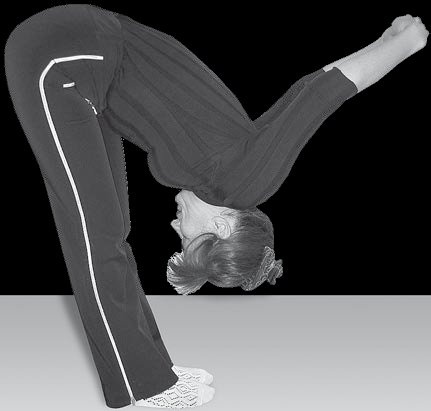 Иллюстрация к книге — Йога для офисных работников. Целебные комплексы от "сидячих болезней" [i_049.jpg]