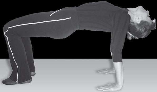 Иллюстрация к книге — Йога для офисных работников. Целебные комплексы от "сидячих болезней" [i_075.jpg]