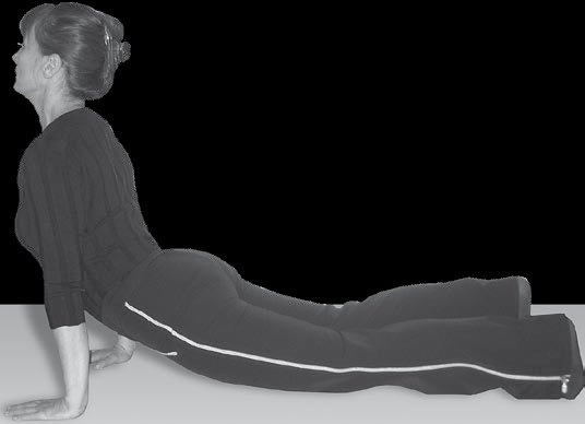 Иллюстрация к книге — Йога для офисных работников. Целебные комплексы от "сидячих болезней" [i_076.jpg]