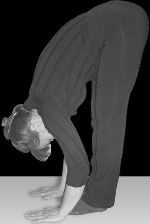 Иллюстрация к книге — Йога для офисных работников. Целебные комплексы от "сидячих болезней" [i_080.jpg]