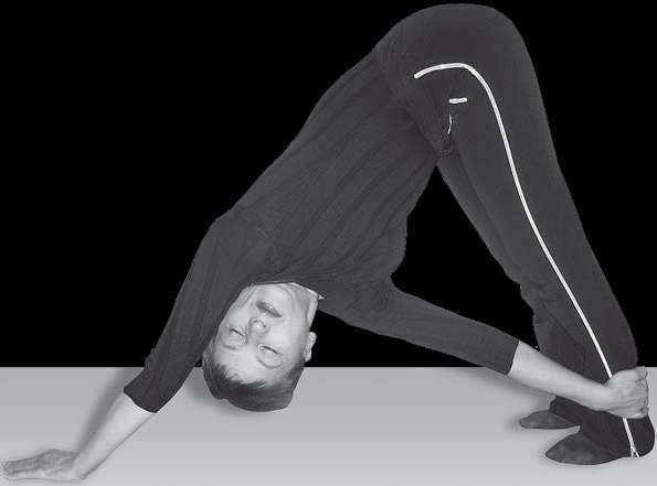 Иллюстрация к книге — Йога для офисных работников. Целебные комплексы от "сидячих болезней" [i_085.jpg]