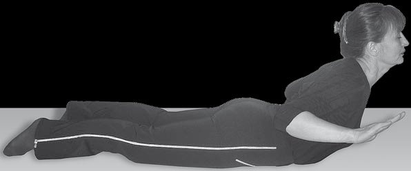 Иллюстрация к книге — Йога для офисных работников. Целебные комплексы от "сидячих болезней" [i_092.jpg]