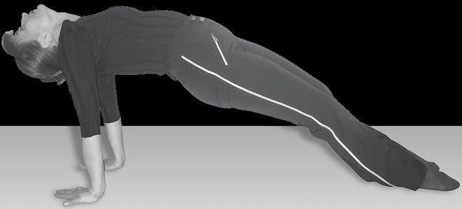 Иллюстрация к книге — Йога для офисных работников. Целебные комплексы от "сидячих болезней" [i_094.jpg]