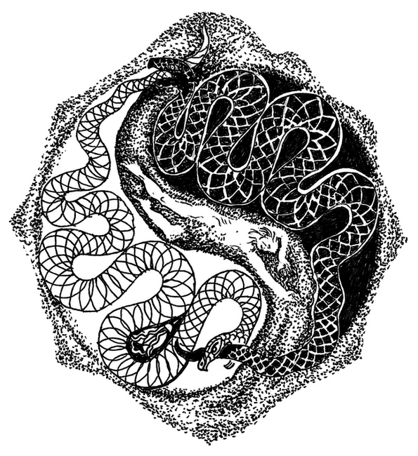 Иллюстрация к книге — Шахматы мироздания. Ключи выхода из игры [i_019.jpg]