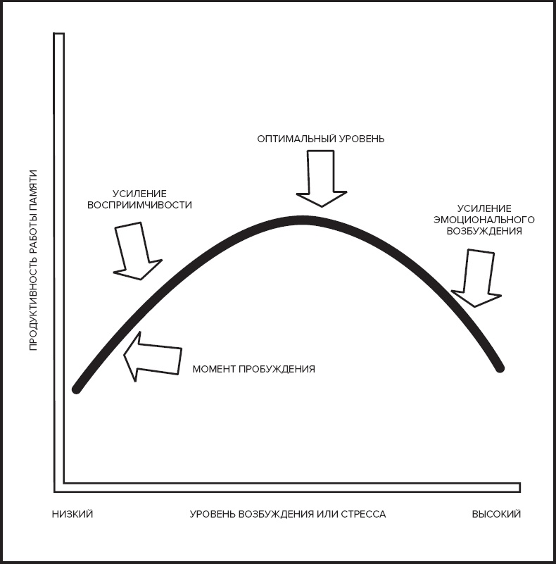 Иллюстрация к книге — Память. Пронзительные откровения о том, как мы запоминаем и почему забываем [i_016.jpg]