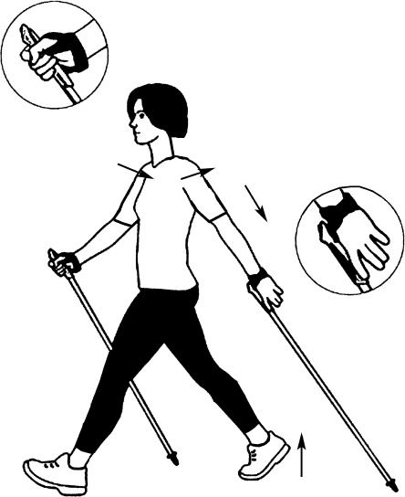 Иллюстрация к книге — Лечение скандинавской ходьбой. Оздоровительные практики [i_004.jpg]