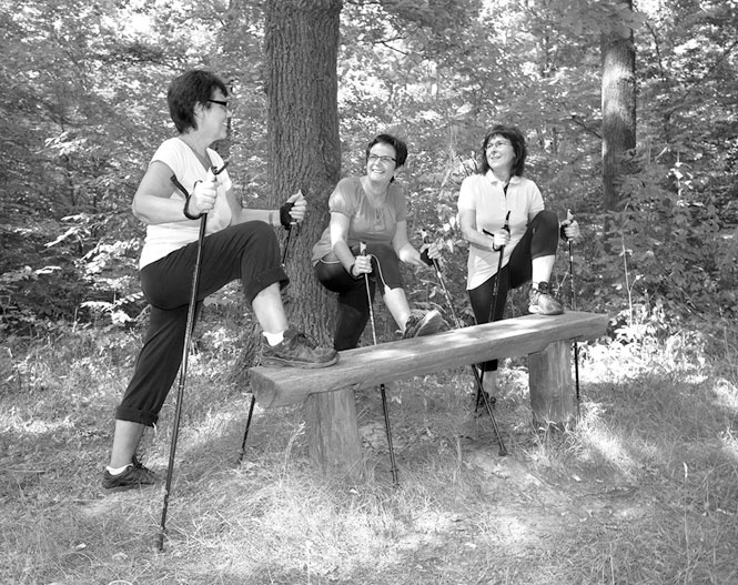 Иллюстрация к книге — Лечение скандинавской ходьбой. Оздоровительные практики [i_006.jpg]