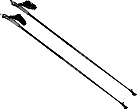 Иллюстрация к книге — Лечение скандинавской ходьбой. Оздоровительные практики [i_011.jpg]