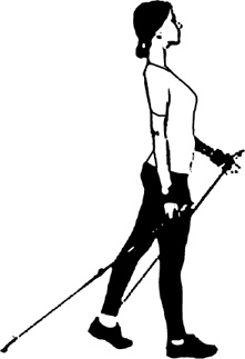 Иллюстрация к книге — Лечение скандинавской ходьбой. Оздоровительные практики [i_053.jpg]