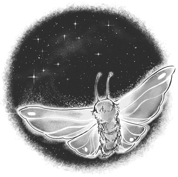 Иллюстрация к книге — Страна сказок. За гранью сказки [i_014.jpg]