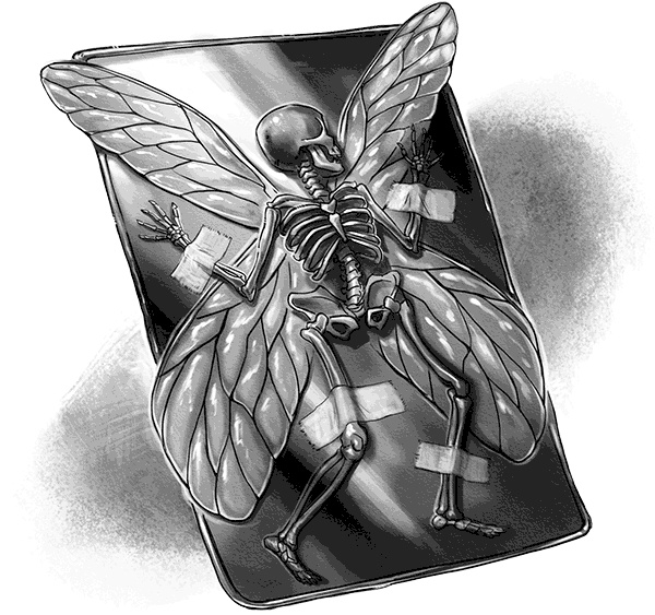 Иллюстрация к книге — Страна сказок. За гранью сказки [i_035.jpg]