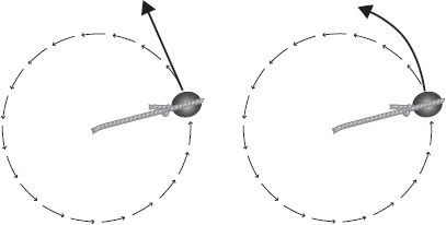 Иллюстрация к книге — Иллюзия знания. Почему мы никогда не думаем в одиночестве [i_004.jpg]