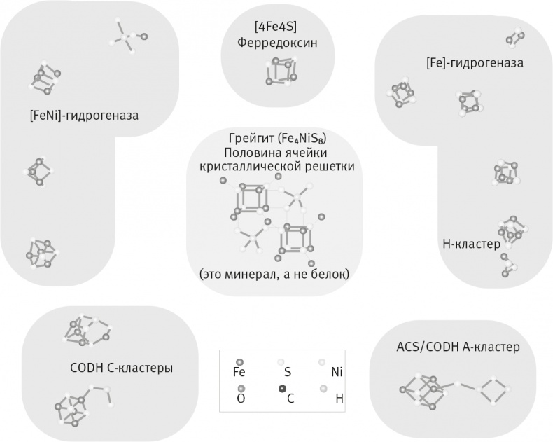 Иллюстрация к книге — Вопрос жизни. Энергия, эволюция и происхождение сложности [i_013.jpg]
