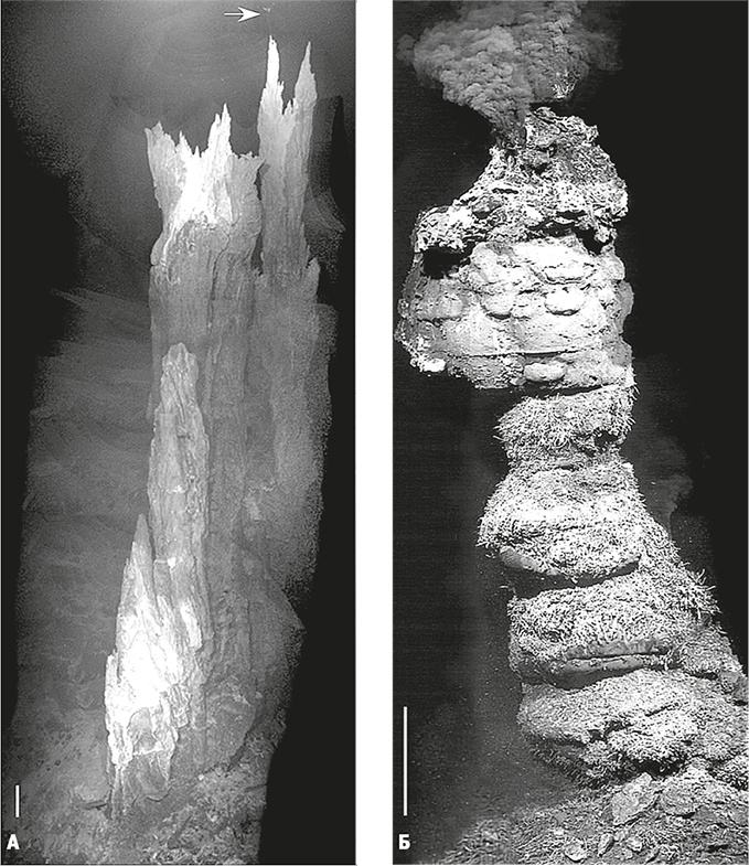 Иллюстрация к книге — Вопрос жизни. Энергия, эволюция и происхождение сложности [i_014.jpg]