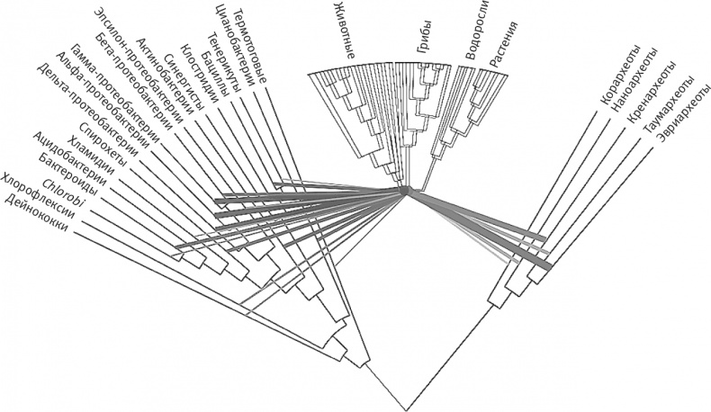 Иллюстрация к книге — Вопрос жизни. Энергия, эволюция и происхождение сложности [i_023.jpg]