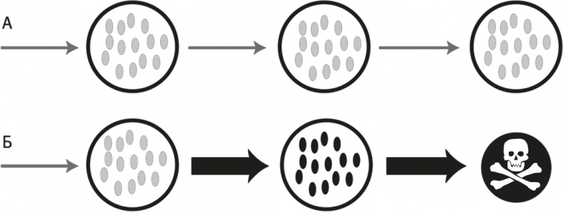 Иллюстрация к книге — Вопрос жизни. Энергия, эволюция и происхождение сложности [i_035.jpg]