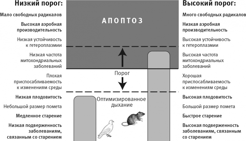 Иллюстрация к книге — Вопрос жизни. Энергия, эволюция и происхождение сложности [i_036.jpg]