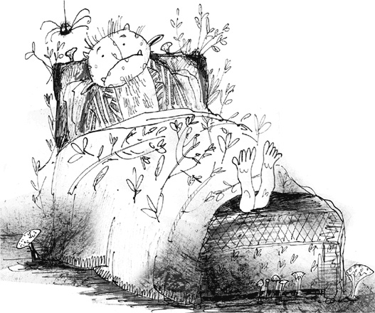 Иллюстрация к книге — Тролли, идите домой! [i_036.jpg]