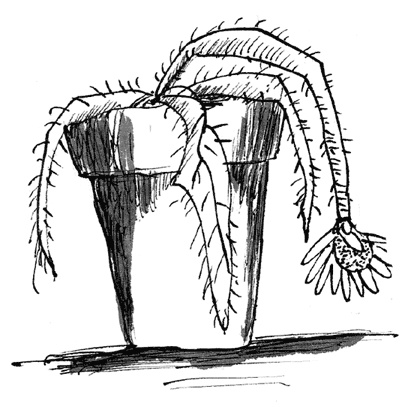 Иллюстрация к книге — Тролли, идите домой! [i_041.jpg]