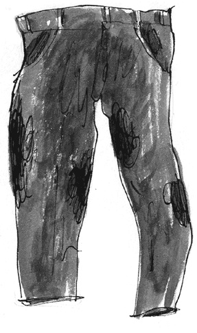 Иллюстрация к книге — Тролли, идите домой! [i_056.jpg]