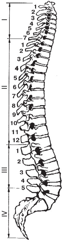 Иллюстрация к книге — Алхимия здоровья. 6 "золотых" правил [i_004.jpg]