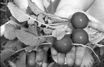 Иллюстрация к книге — Как восстановить фигуру после родов [_72.jpg]