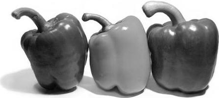 Иллюстрация к книге — Как восстановить фигуру после родов [_80.jpg]