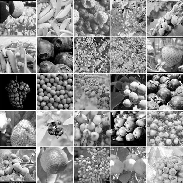 Иллюстрация к книге — Как восстановить фигуру после родов [_85.jpg]