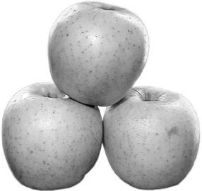 Иллюстрация к книге — Как восстановить фигуру после родов [_92.jpg]