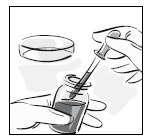 Иллюстрация к книге — Полный справочник анализов и исследований в медицине [i_002.jpg]