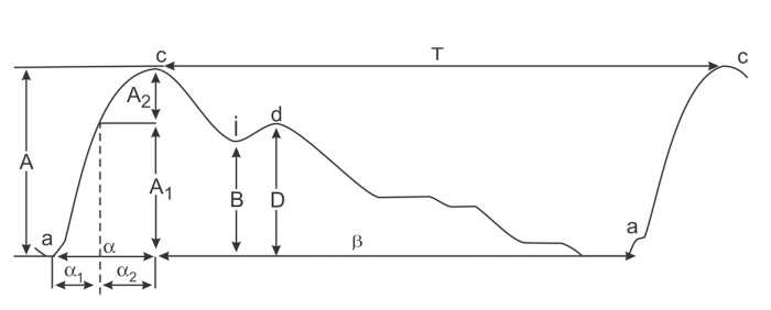 Иллюстрация к книге — Полный справочник анализов и исследований в медицине [i_065.jpg]