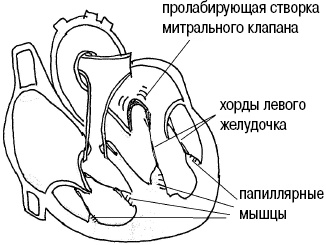 Иллюстрация к книге — Стоп-инфаркт. Как читать ЭКГ и заботиться о сердце [autogen_ebook_id20.jpg]