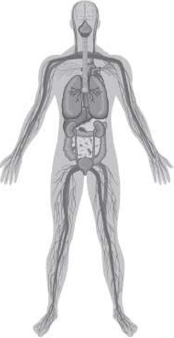 Иллюстрация к книге — Чистки организма. Лучшие методики [i_001.jpg]