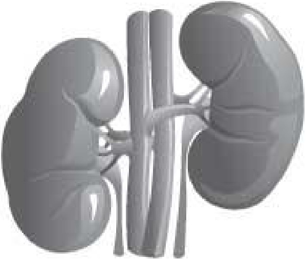 Иллюстрация к книге — Чистки организма. Лучшие методики [i_007.jpg]