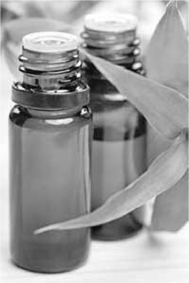 Иллюстрация к книге — Чистки организма. Лучшие методики [i_013.jpg]