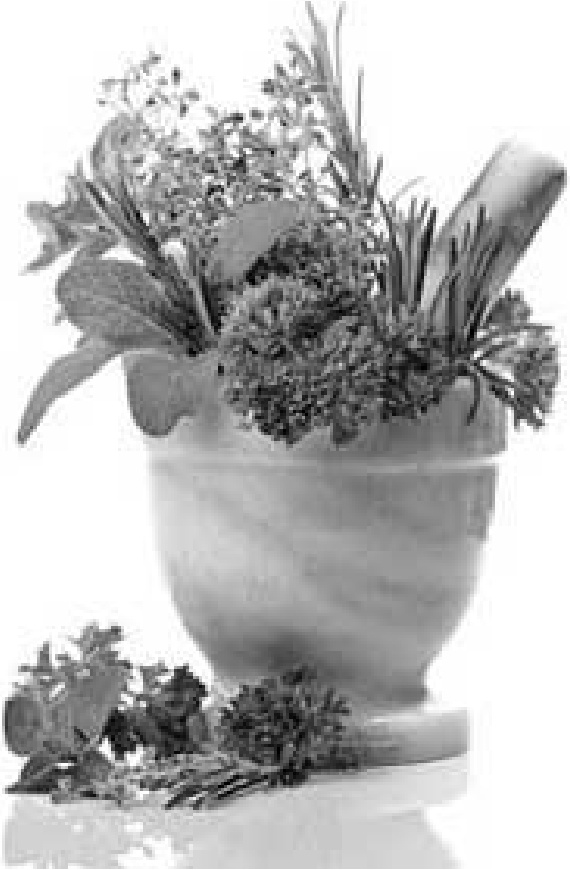 Иллюстрация к книге — Чистки организма. Лучшие методики [i_015.jpg]