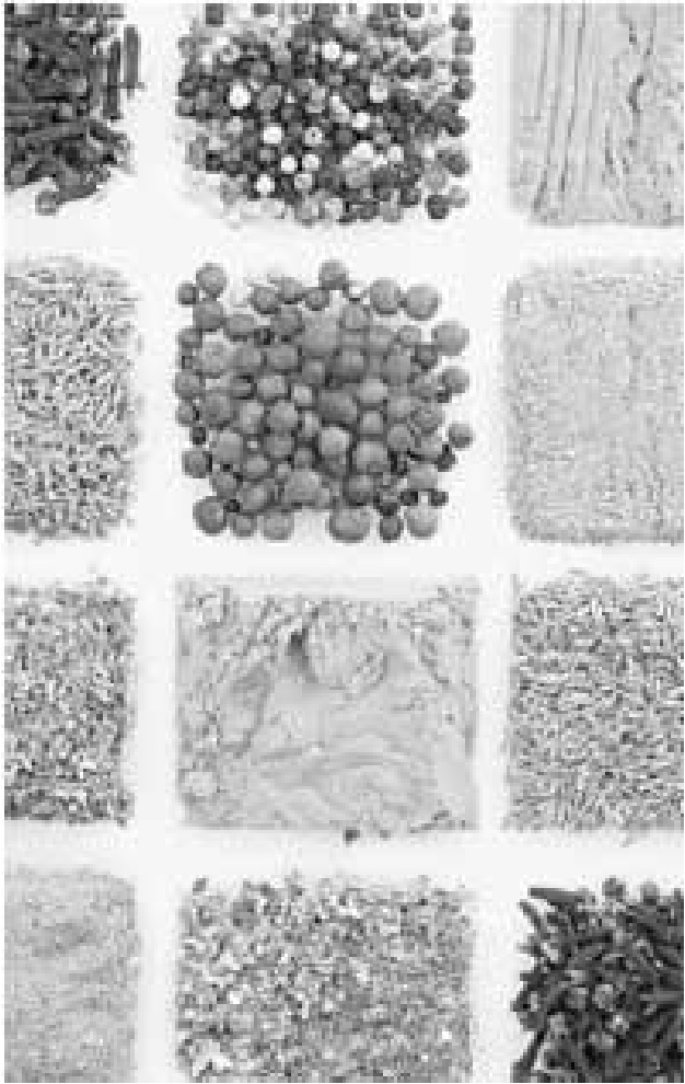 Иллюстрация к книге — Чистки организма. Лучшие методики [i_026.jpg]