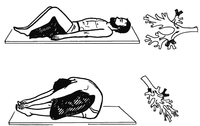 Иллюстрация к книге — Бронхи и легкие. Советы и рекомендации ведущих врачей [_193_2.jpg]