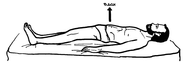 Иллюстрация к книге — Бронхи и легкие. Советы и рекомендации ведущих врачей [_217_3.jpg]