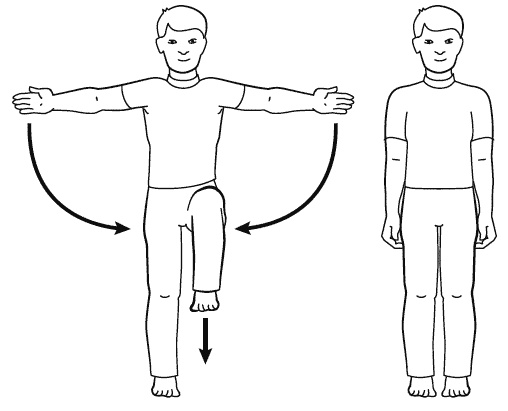 Иллюстрация к книге — Бронхи и легкие. Советы и рекомендации ведущих врачей [_244_2.jpg]