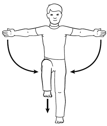 Иллюстрация к книге — Бронхи и легкие. Советы и рекомендации ведущих врачей [_245.jpg]