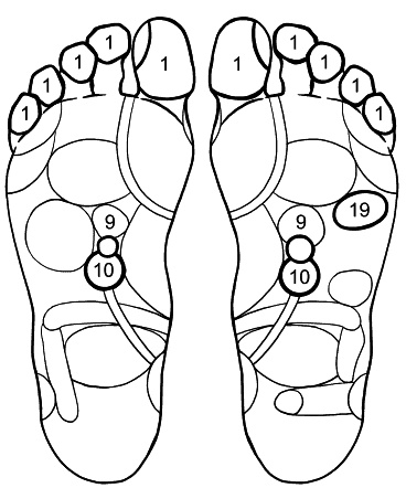 Иллюстрация к книге — Сердце и сосуды. Большая энциклопедия здоровья [_081.jpg]