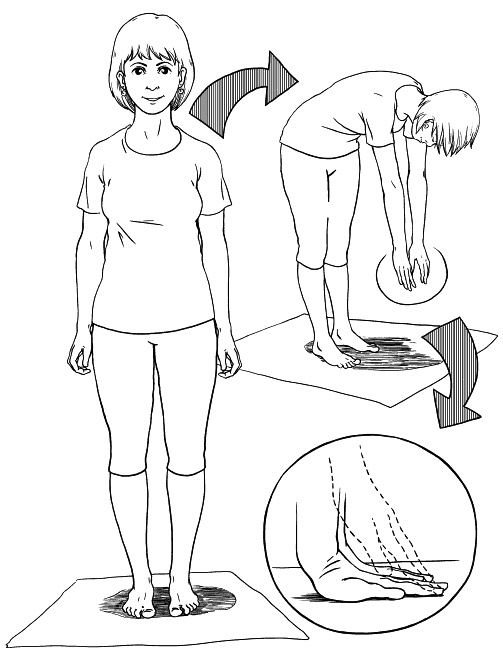 Иллюстрация к книге — Сердце и сосуды. Большая энциклопедия здоровья [_116.jpg]