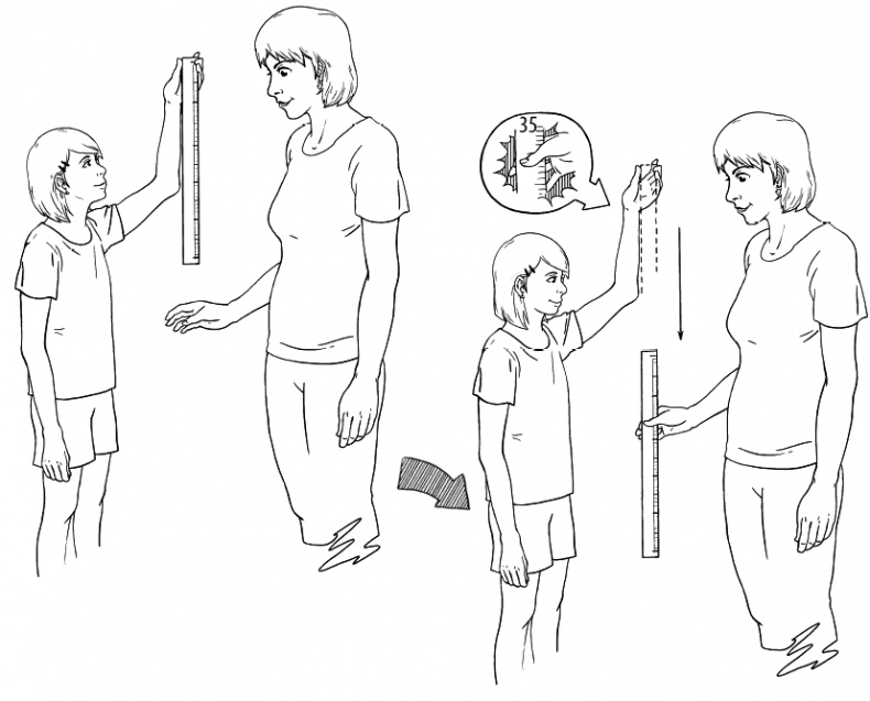 Иллюстрация к книге — Сердце и сосуды. Большая энциклопедия здоровья [_119.jpg]