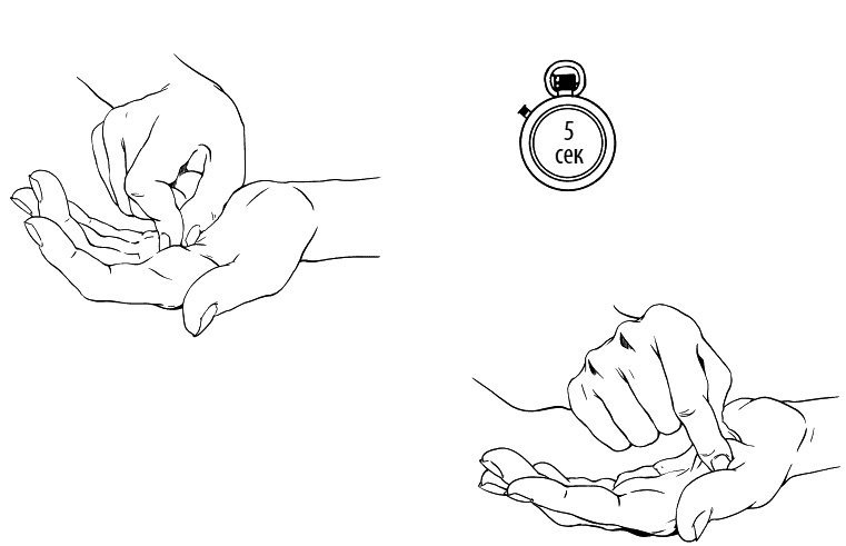 Иллюстрация к книге — Сердце и сосуды. Большая энциклопедия здоровья [_126.jpg]