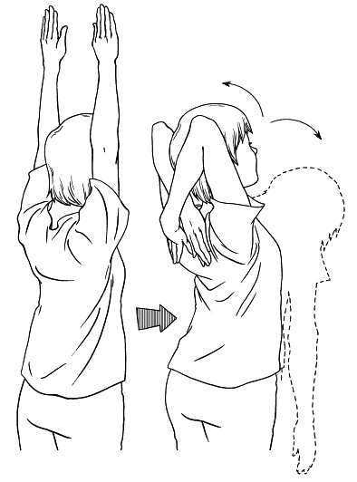 Иллюстрация к книге — Сердце и сосуды. Большая энциклопедия здоровья [_133.jpg]