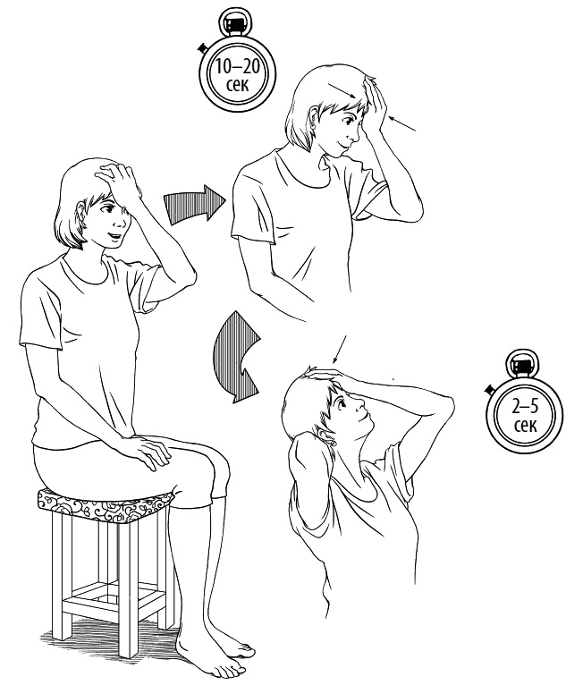 Иллюстрация к книге — Сердце и сосуды. Большая энциклопедия здоровья [_172.jpg]