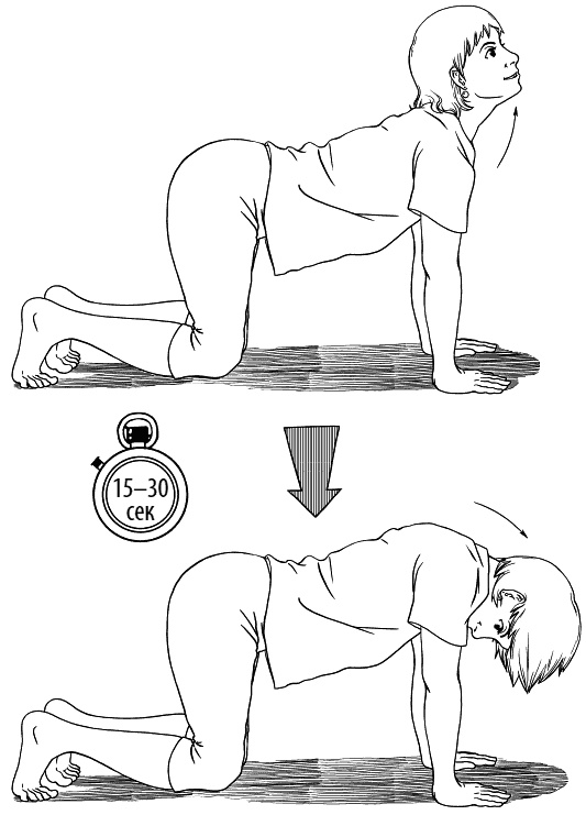 Иллюстрация к книге — Сердце и сосуды. Большая энциклопедия здоровья [_180.jpg]