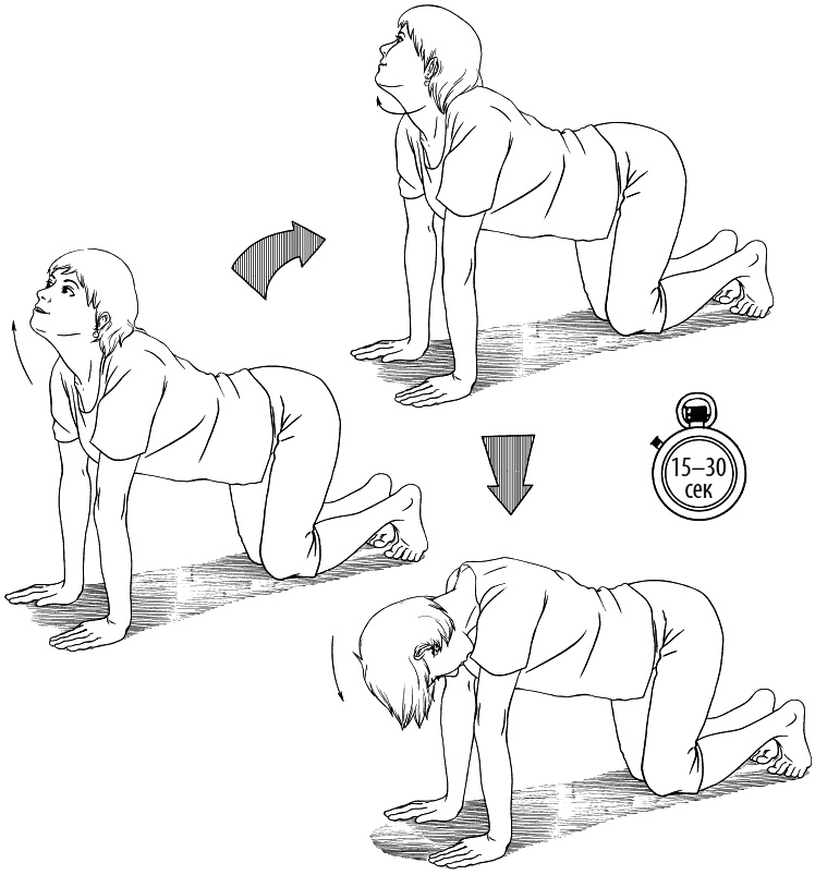 Иллюстрация к книге — Сердце и сосуды. Большая энциклопедия здоровья [_181.jpg]